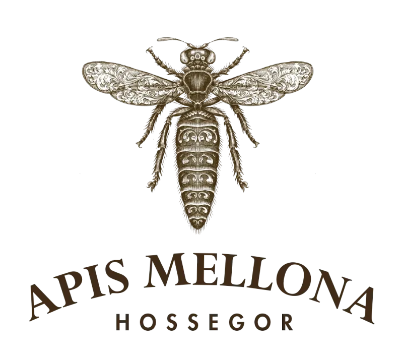 Apiculture écologique et ateliers de sensibilisation aux abeilles à Seignosse